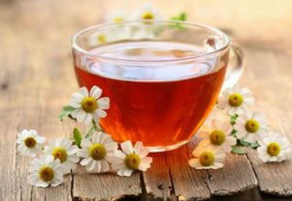 Полезные свойства и противопоказания чая из ромашки